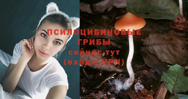 2c-b Алексин